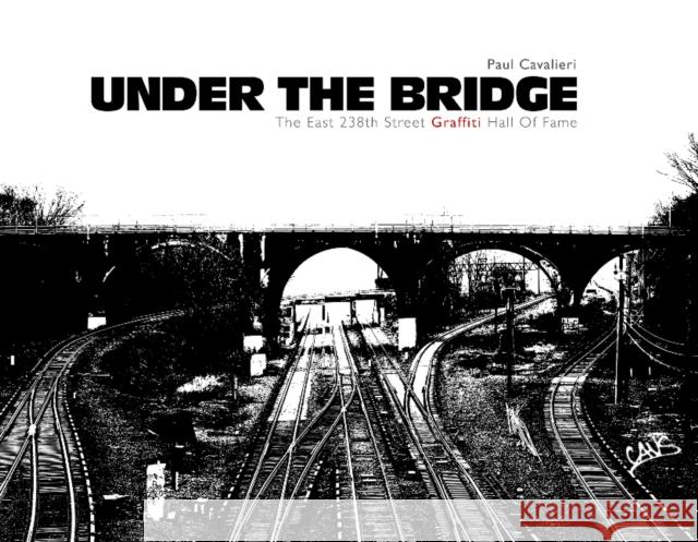 Under the Bridge: The East 238th Street Graffiti Hall of Fame Cavalieri, Paul 9780764345920 Schiffer Publishing