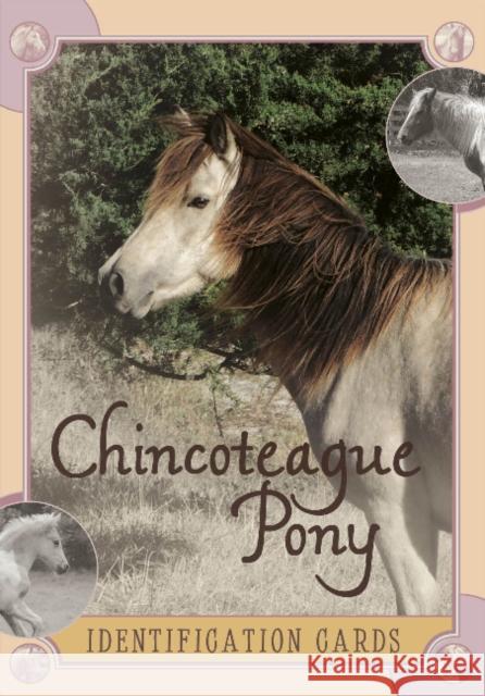 Chincoteague Pony Identification Cards, Set 2 Lois Szymanski Linda Kantjas 9780764347146 Schiffer Publishing