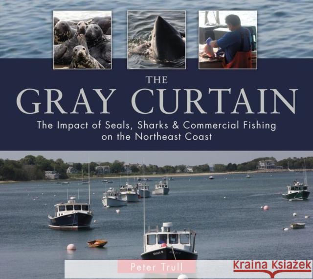 The Gray Curtain: The Impact of Seals, Sharks, and Commercial Fishing on the Northeast Coast Peter Trull 9780764349478 Not Avail