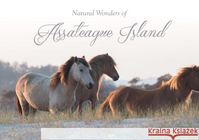 Natural Wonders of Assateague Island Mark Hendricks 9780764353406