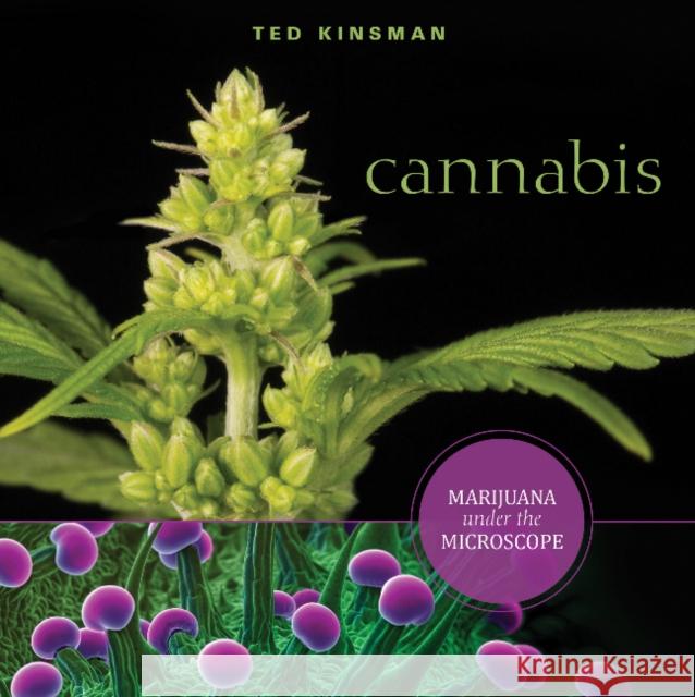 Cannabis: Marijuana Under the Microscope Ted Kinsman 9780764355059 Schiffer Publishing