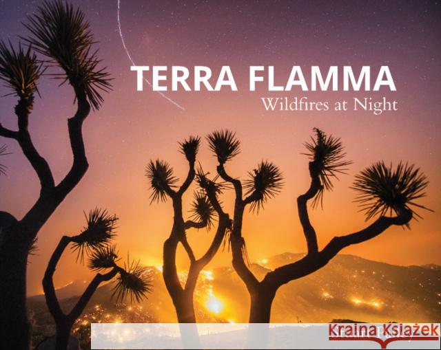 Terra Flamma: Wildfires at Night Stuart Palley 9780764355738 Schiffer Publishing