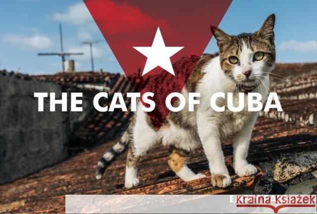 The Cats of Cuba Emmy Park 9780764358029 Schiffer Publishing