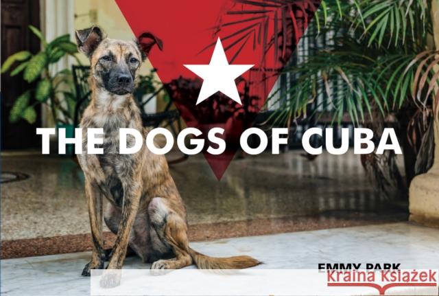 The Dogs of Cuba Emmy Park 9780764358036 Schiffer Publishing