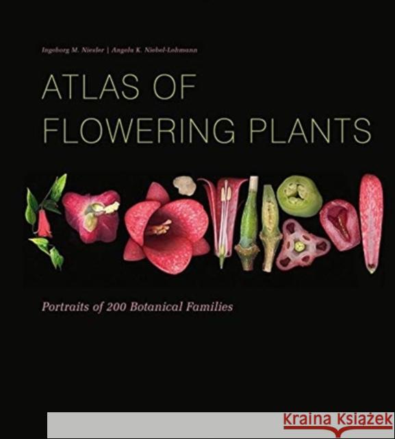 Atlas of Flowering Plants: Visual Studies of 200 Deconstructed Botanical Families Niesler, Ingeborg M. 9780764361333 Schiffer Publishing