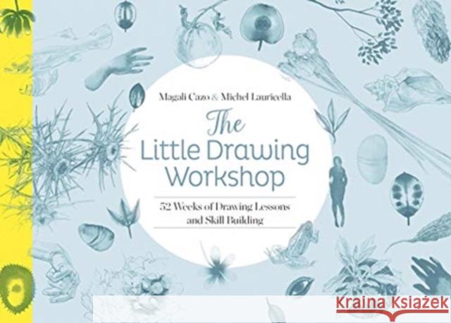 The Little Drawing Workshop: 52 Weeks of Drawing Lessons and Skill Building Michel Lauricella 9780764361852 Schiffer Publishing Ltd