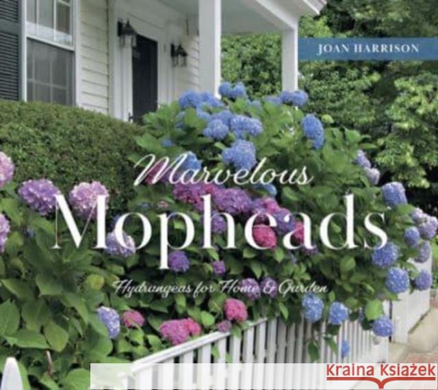 Marvelous Mopheads Joan Harrison 9780764367298