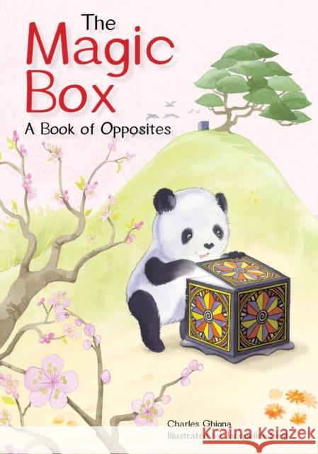 The Magic Box Charles Ghigna 9780764367786