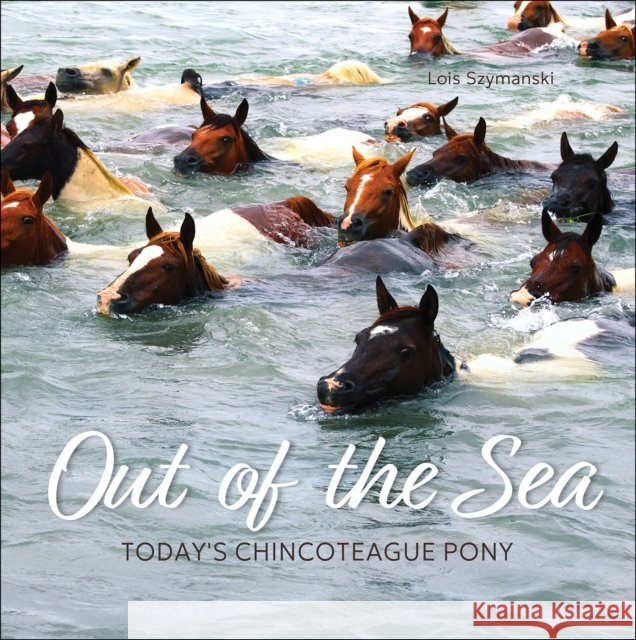 Out of the Sea: Today's Chincoteague Pony Lois Szymanski 9780764369704 Schiffer Publishing
