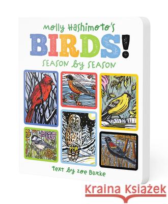 Molly Hashimoto's Birds!: Season by Season Molly Hashimoto 9780764982170 Pomegranatekids