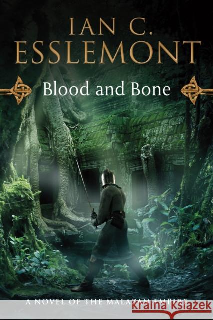 Blood and Bone: A Novel of the Malazan Empire Ian C. Esslemont 9780765330017 Tor Books