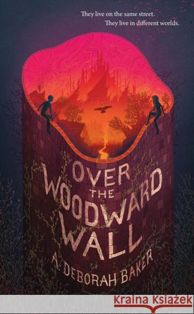 Over the Woodward Wall A. Deborah Baker 9780765399274 Tor.Com