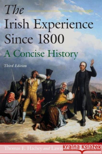 The Irish Experience Since 1800: A Concise History: A Concise History Hachey, Thomas E. 9780765625113 ME SHARPE