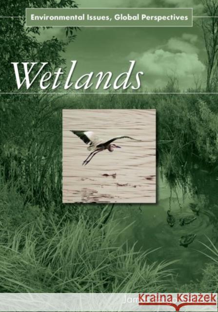 Wetlands: Environmental Issues, Global Perspectives Balliett, James Fargo 9780765682260