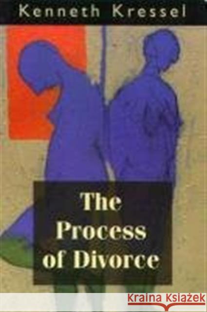 The Process of Divorce: Helping Couples Negotiate Settlements Kressel, Kenneth 9780765700490 Jason Aronson