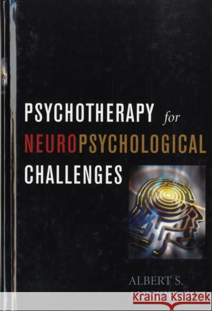 Psychotherapy for Neuropsychological Challenges Albert S. Aniskiewicz 9780765703897 Jason Aronson