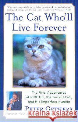 The Cat Who'll Live Forever: The Final Adventures of Norton, the Perfect Cat, and His Imperfect Human Peter Gethers 9780767909037 Broadway Books