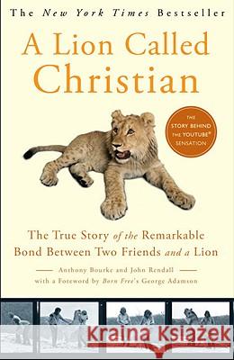 A Lion Called Christian John Rendall Anthony Bourke George Adamson 9780767932370 Broadway Books