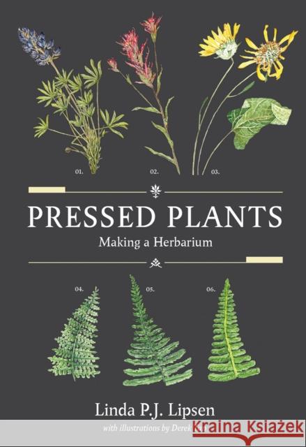 Pressed Plants: Making a Herbarium Linda P. J. Lipsen Derek Tan 9780772680563 Royal British Columbia Museum