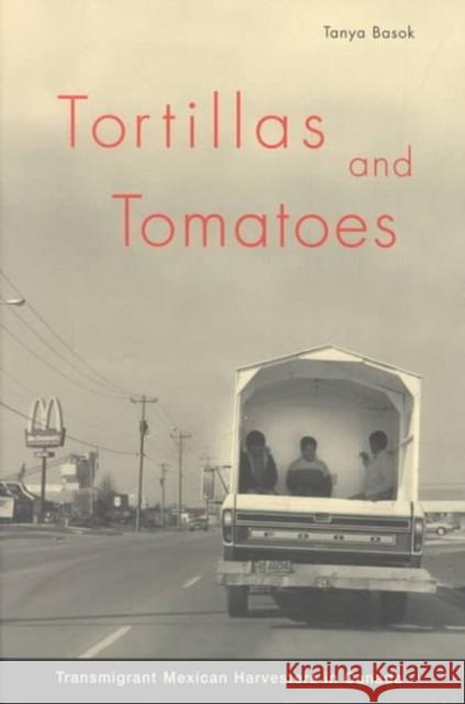 Tortillas and Tomatoes: Transmigrant Mexican Harvesters in Canada Basok, Tanya 9780773523388 McGill-Queen's University Press