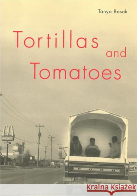 Tortillas and Tomatoes : Transmigrant Mexican Harvesters in Canada Tanya Basok 9780773523876 McGill-Queen's University Press