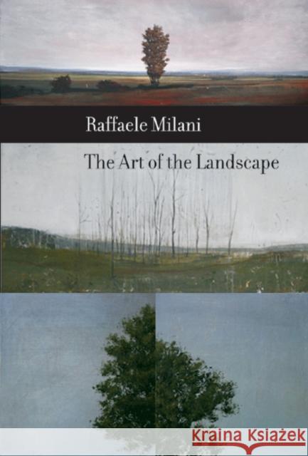 The Art of the Landscape Raffaele Milani 9780773535084