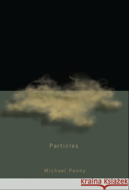Particles Michael Penny 9780773538467 McGill-Queen's University Press