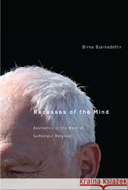 Recesses of the Mind : Aesthetics in the Work of Gudbergur Bergsson Birna Bjarnadottir 9780773539105