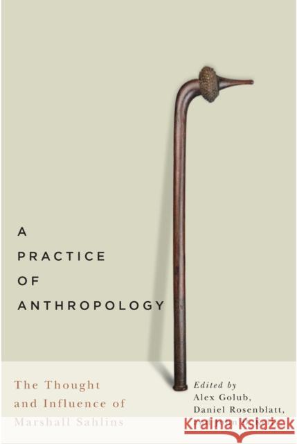 A Practice of Anthropology: The Thought and Influence of Marshall Sahlins Alex Golub Daniel Rosenblatt John D., IV Kelly 9780773546899 McGill-Queen's University Press