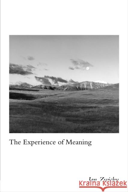 The Experience of Meaning Jan Zwicky 9780773557420 McGill-Queen's University Press