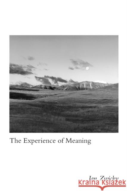 The Experience of Meaning Jan Zwicky 9780773557437 McGill-Queen's University Press