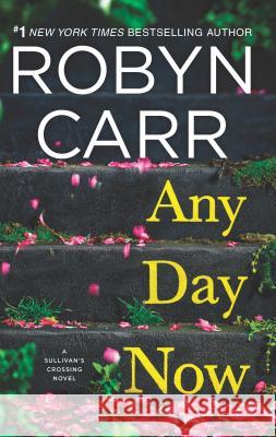 Any Day Now Robyn Carr 9780778319917 Mira Books