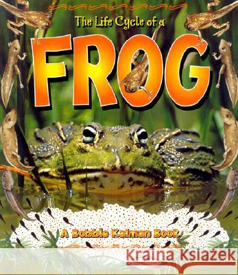 The Life Cycle of a Frog Bobbie Kalman Kathryn Smithyman Bonna Rouse 9780778706816