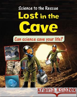 Lost in the Cave Felicia Law 9780778716778