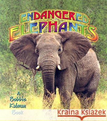 Endangered Elephants Bobbie Kalman 9780778719069 