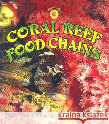 Coral Reef Food Chains Bobbie Kalman Kelley MacAulay 9780778719946 Crabtree Publishing Company
