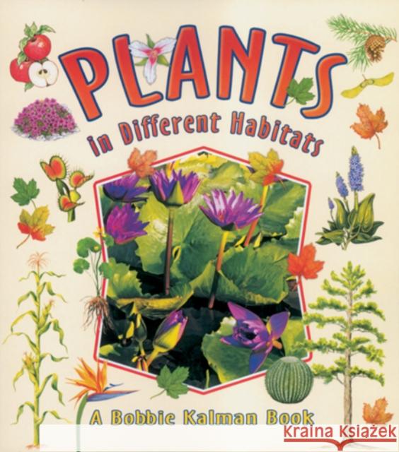 Plants in Different Habitats Bobbie Kalman Rebecca Sjonger 9780778723165 Crabtree Publishing Company