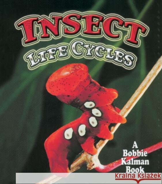 Insect Life Cycles Molly Aloian 9780778723776 Crabtree Publishing Co,Canada