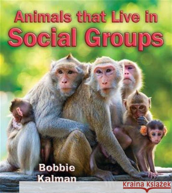 Animals that Live in Social Groups Bobbie Kalman 9780778728252 Crabtree Publishing Co,US