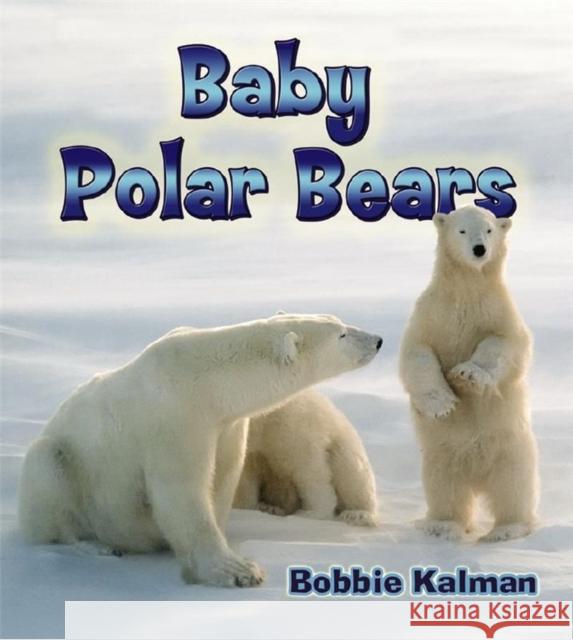 Baby Polar Bears Bobbie Kalman 9780778748991 Crabtree Publishing Co,Canada