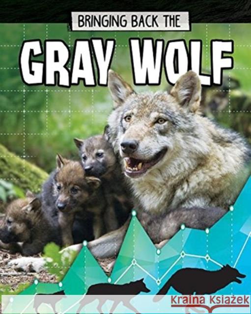 Gray Wolf: Bringing Back The Paula Smith 9780778749097