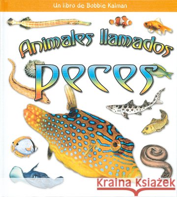 Animales Llamados Peces (Animals Called Fish) Lundblad, Kristina 9780778788331 Crabtree Publishing Company