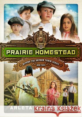 Prairie Homestead, 3 Arleta Richardson 9780781413572 David C Cook Publishing Company