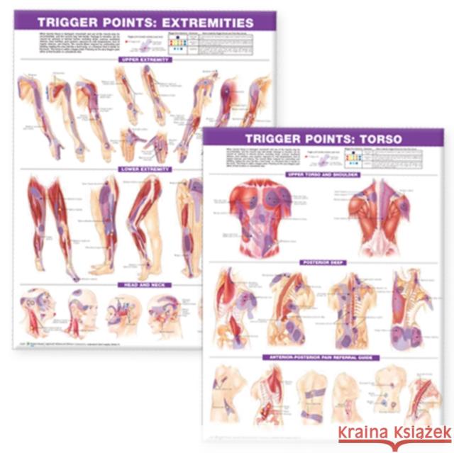 Trigger Point Chart Set: Torso & Extremities Paper   9780781773065 Lippincott Williams and Wilkins