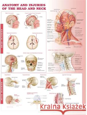 Anatomy and Injuries of the Head and Neck Anatomical Chart  9780781786706 LIPPINCOTT WILLIAMS & WILKINS