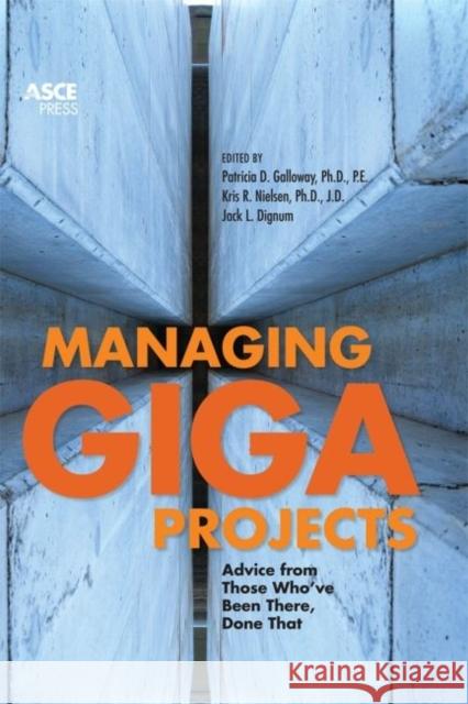 Managing Gigaprojects : Advice from Those Who've Been There, Done That Patricia D. Galloway Kris R. Nielsen Jack L. Dignum 9780784412381