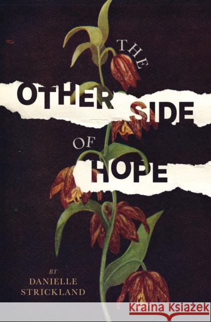 The Other Side of Hope: Flipping the Script on Cynicism and Despair and Rediscovering our Humanity Danielle Strickland 9780785230175 Thomas Nelson Publishers