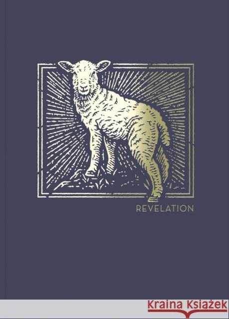 Net Abide Bible Journal - Revelation, Paperback, Comfort Print: Holy Bible Taylor University Center for Scripture E 9780785237631 Thomas Nelson