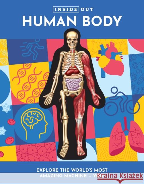 Inside Out Human Body Luann Columbo 9780785841982