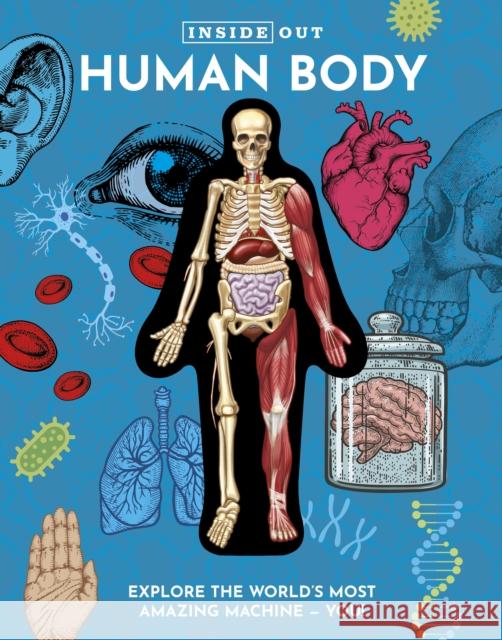 Inside Out Human Body: Explore the World's Most Amazing Machine - You! Luann Columbo 9780785845799 Chartwell Books